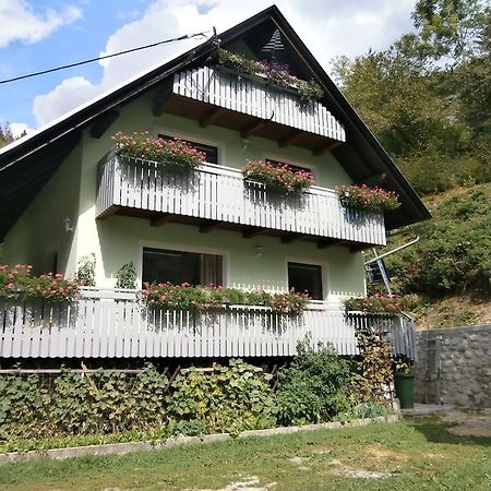Apartment Zvan 博希尼 客房 照片