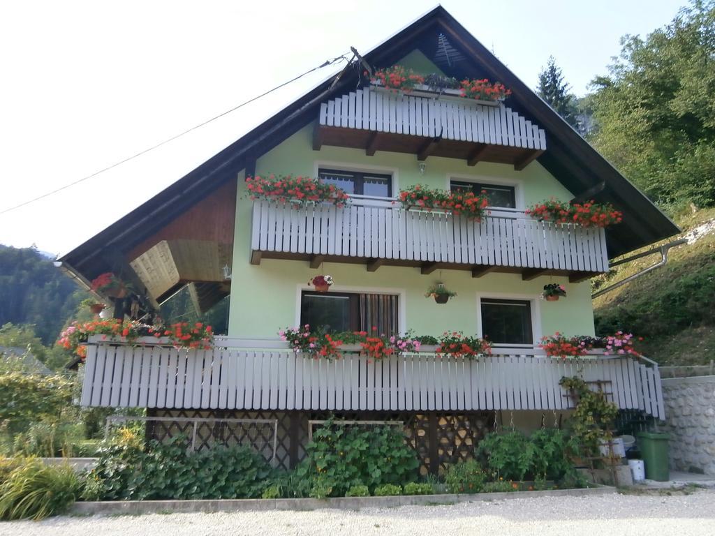 Apartment Zvan 博希尼 客房 照片