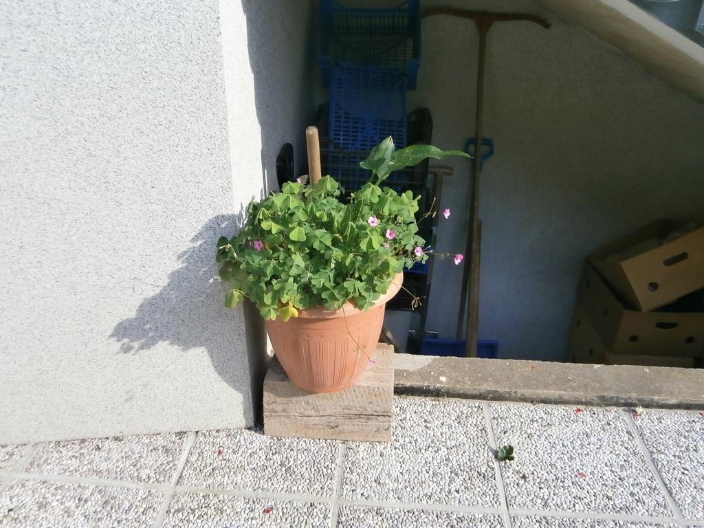Apartment Zvan 博希尼 客房 照片