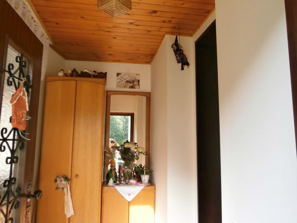 Apartment Zvan 博希尼 客房 照片