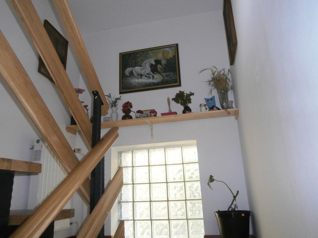 Apartment Zvan 博希尼 客房 照片